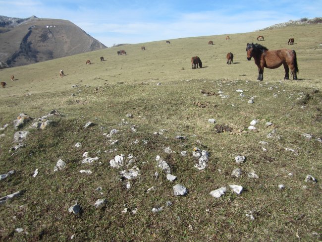 Túmulo Urtao  (Febrero 2014)