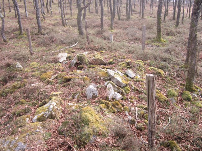 Dólmen Iruso 3  (Marzo 2014)