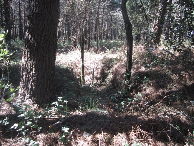 Túmulo Larrazabal  (Abril 2014)