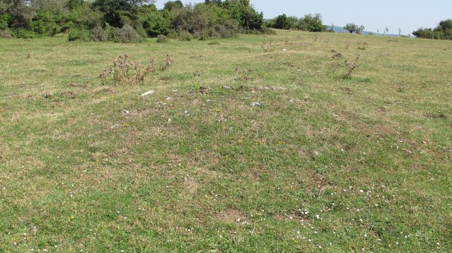 Andasarri 8 tumulua, Limitaciones