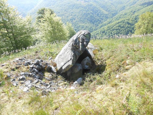 epersaro trikuharria