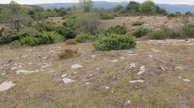 SB 12 tumulua, Badaia mendikatea 