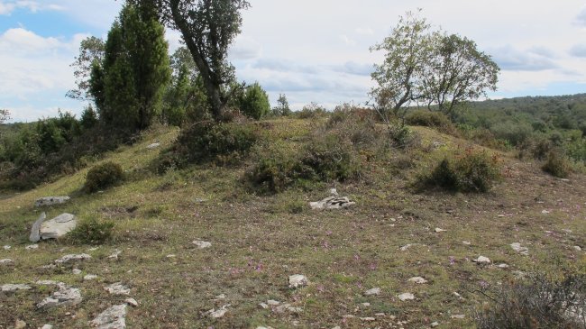 Alto de las Chozas trikuharria