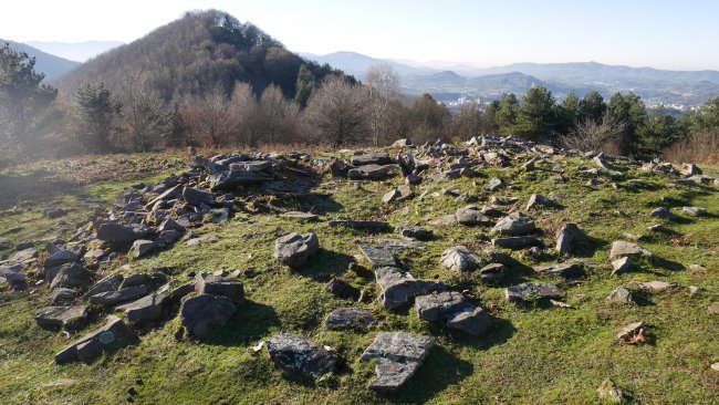 Arritxieta trikuharria