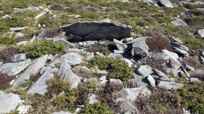 Latargi 5 trikuharria, Eratsun