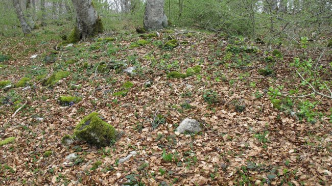 Bagaritxa 2 ekialde tumulua, Goñi