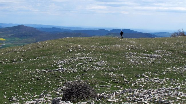 Altos de Goñi eraztun-tumulua, Goñi