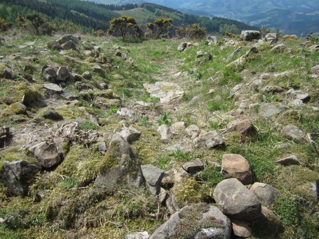 Túmulo Naasiko Goena   (Abril   2015)