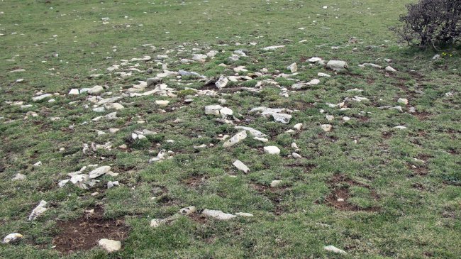 Peña Elordia 1 tumulua, Goñi