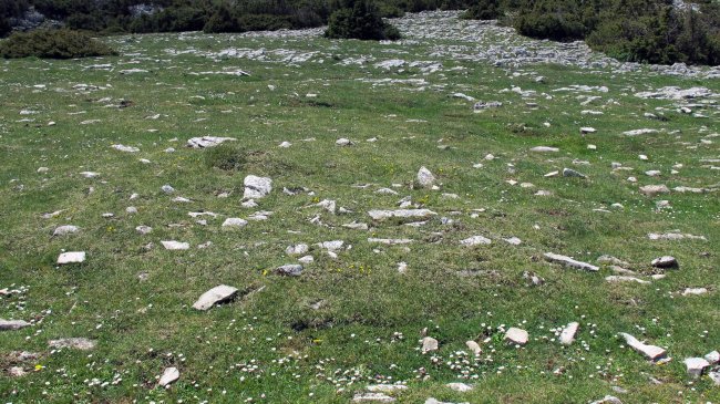 Irunsarioko bidea 2 ipar tumulua, Andia