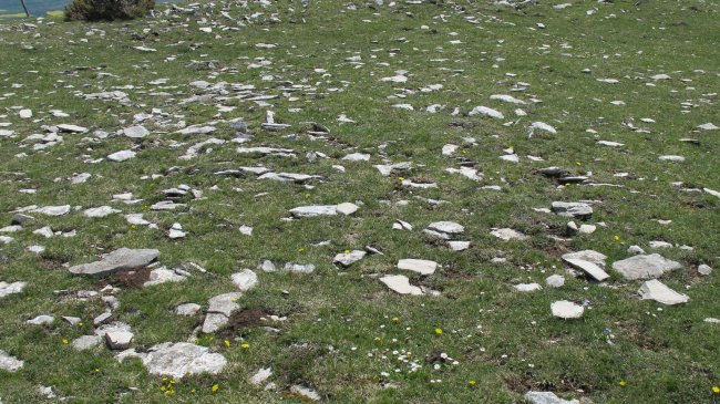 Trekua norte tumulua, Andia