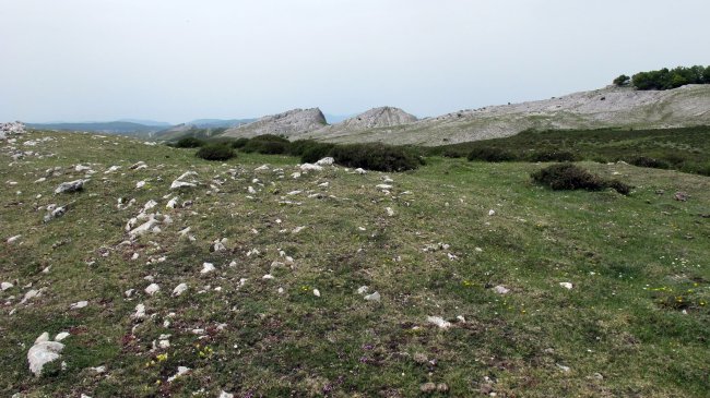 Elordi eraztun tumulua, Andia