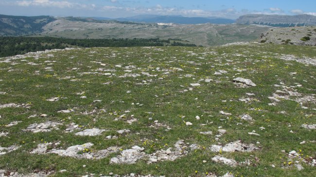 Malkaxko 3 eraztun-tumulua, Andia