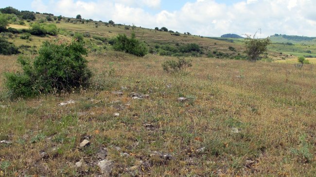 Leiorri tumulua, Urdanoz