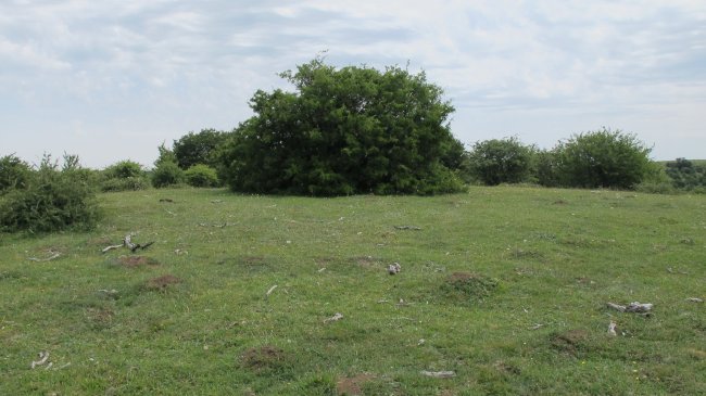 Zillerte eraztun-tumulua, Munarriz-Goñi
