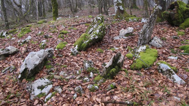 Pian trikuharria, Madotz-Larraun