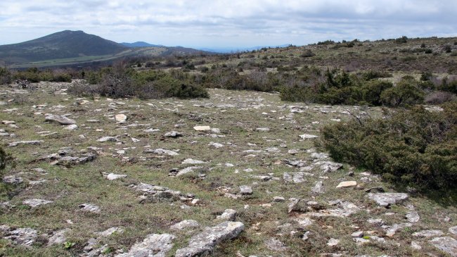 Mugartxondoa 2 eraztun-tumulua, Egilor-Ollo