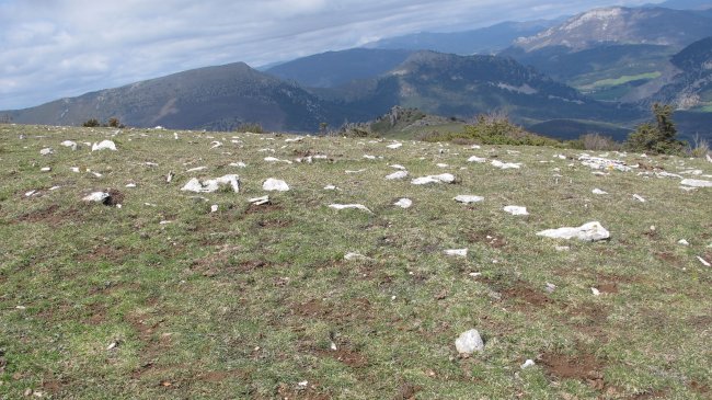 Mortxe 4 tumulua, Egilor-Ollo