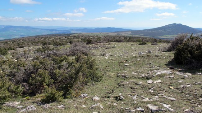 Mortxe 5 eraztun-tumulua, Egilor-Ollo