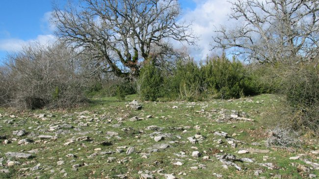 Itxasorde 2 eraztun-tumulua, Azantza-Goñi