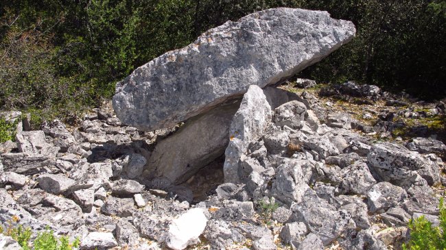 Angerta trikuharria, Berroia-Erromantzatua