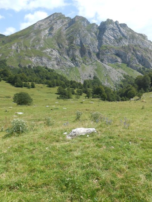 Characou 5  trikuharria