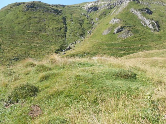 Arroyo de Escuret 2 tumulua