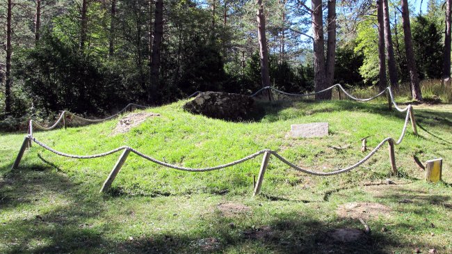 Asolaze trikuharria, Izaba