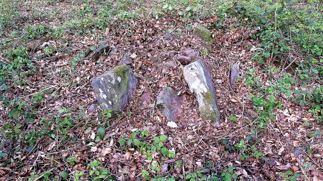 Akabakar trikuharria, Garaioa