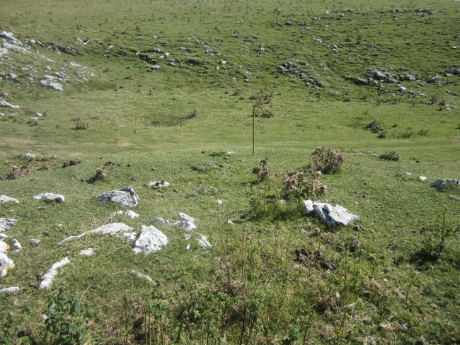 Fondo de Cabaña Liztorriturri 1  (Septiembre 2016)