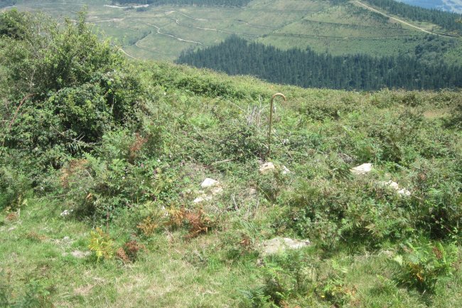 Túmulo Unzilla 1  (Julio  2017)