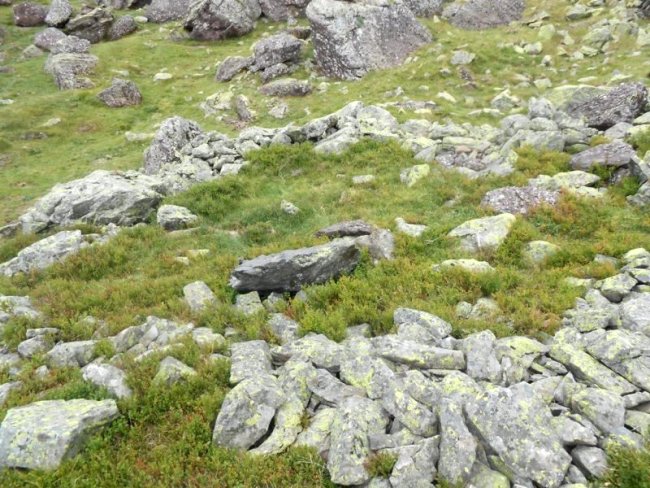 la hourquette de larry 2