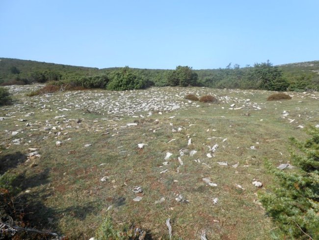 Lauzola eraztun-tumulua