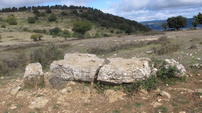 Raso de Biloria zutarria, Biloria-Lana