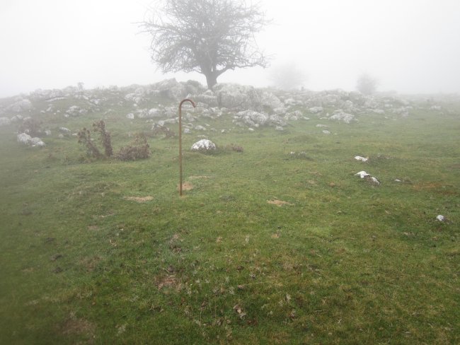 Cromlech Igaratza II c  (Noviembre  2015)