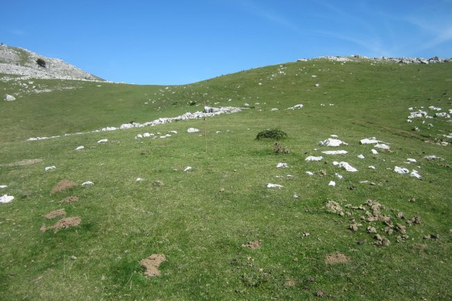 Cromlech Olamuño Oeste III (Septiembre  2017)