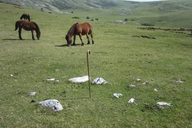 Cromlech Olamuño Sur (Septiembre 2017)