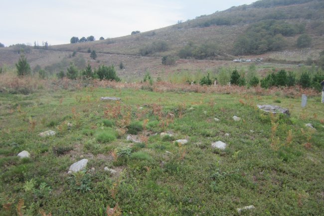 Túmulo Ipinarrieta  (Noviembre 2017)