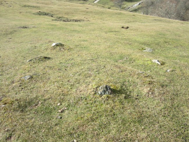 Círculo Zelaibizkar 2   (Diciembre 2016)