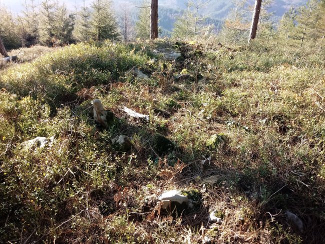 Arratolagaña trikuharria 2