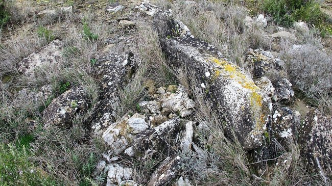 Las Cabras 4 zista, Larraga