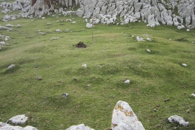 Fondo de Cabaña Urbia Este 3   (Noviembre 2017)