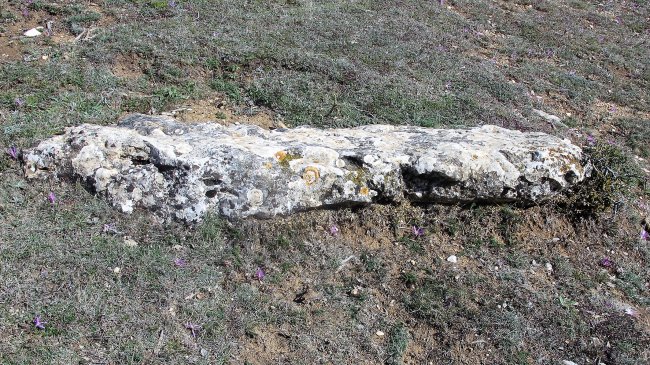 Camino de Mendibela zutarria, Biloria-Lana