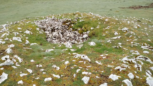 Pagobakoitza trikuharria (2018)