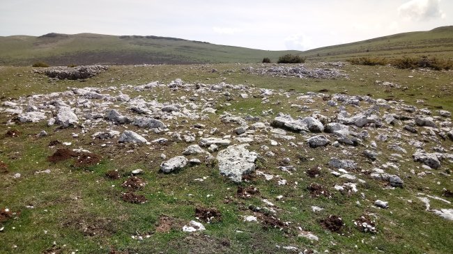 Peñablanca trikuharria 4