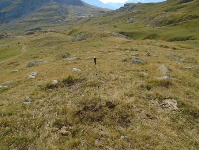 CABANES LA GLÈRE harrespila