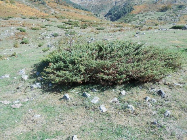 BARRANCO LOS ARRIGAZUELOS 2