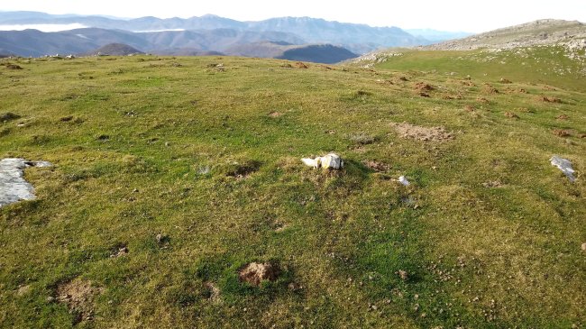 Olamuño Gaña 2 harrespila