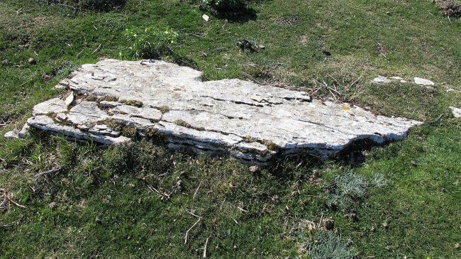 Ollideko Bizkar zutarria, Urbasa