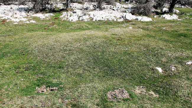 Ollide 3 este etxola hondoa, Urbasa